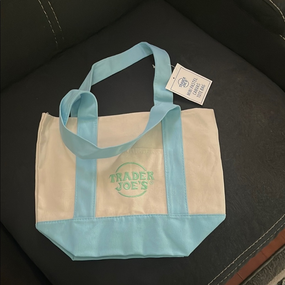 Blue and White Mini Canvas Tote Bag,Limited Edition,Pastel,NWT